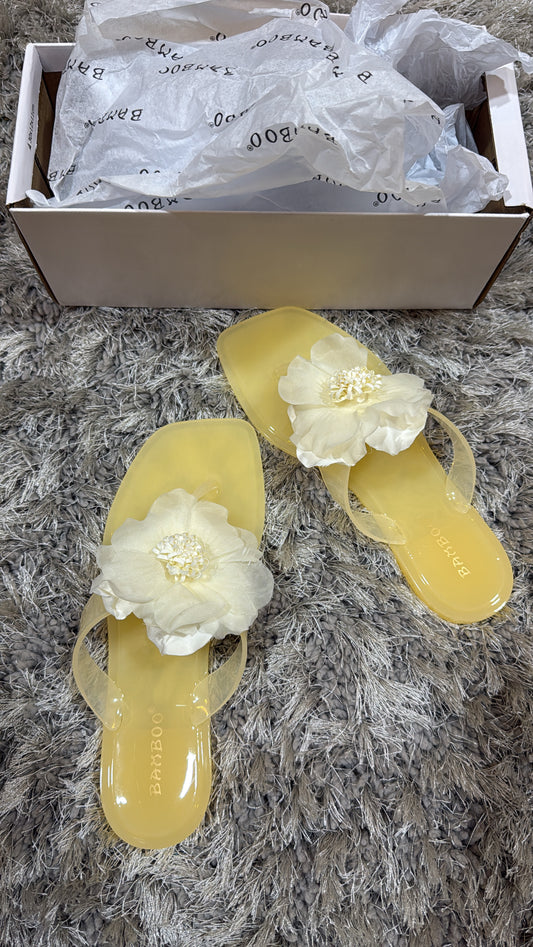 Jelly slides