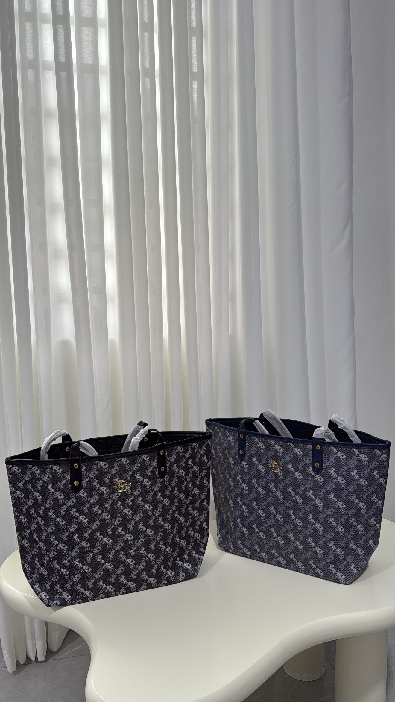 Coach Tote bag
